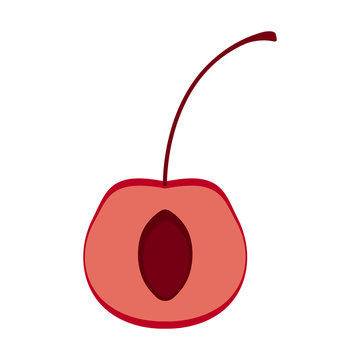 Isolated cut cherry image. Vector illustration design