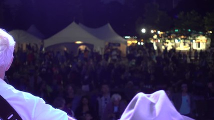 Concert Audience In Crowd From Stage