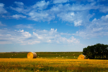 Buffalo Gap National Grasslands, South Dakota.  Bales of Hay in the Fields