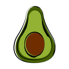 Sketch of a front view of a cut avocado. Vector illustration design