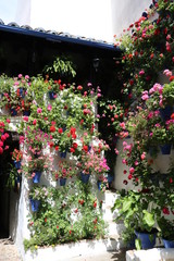 Fototapeta na wymiar Traditional house and courts with flower in Cordoba, Spain