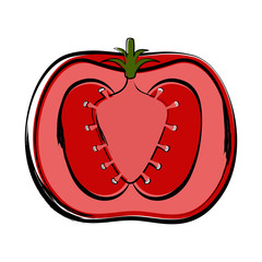 Isolated sketch of a cut tomato image. Vector illustration design