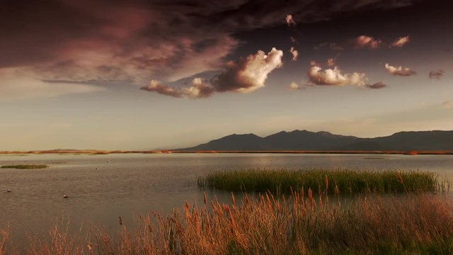 Beautiful wetlands grasses and water with mountains in background. Bear River National  Migratory Bird Refuge in Utah near the Great Salt Lake at sunset.