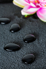 Fototapeta na wymiar Black pebbles resting on black sand with a water lily