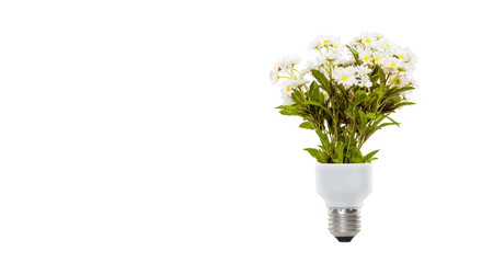 Light Bulb with sprout. Mixed media