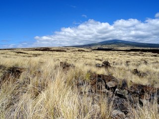 View on Mt. Hualalai in Big Island, Hawaii