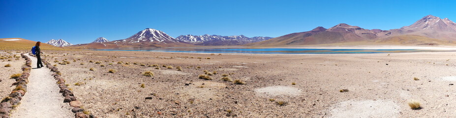 Lagunas altiplanica in the desert of Atacama, Chile.