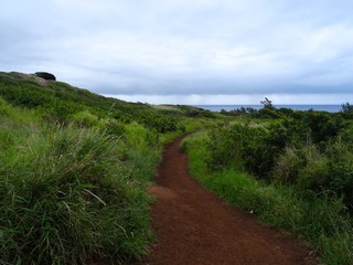 View of the nature in Maui's Northwestern coastline
