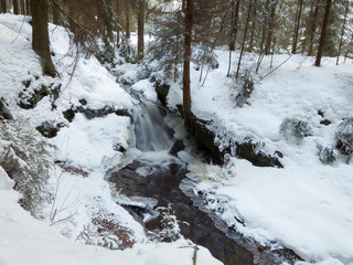 smooth motion of wild water in a river in winter with snow and ice on rocks and stones in the beautiful nature of a forest