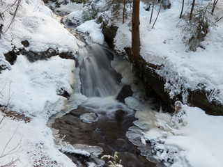smooth motion of wild water in a river in winter with snow and ice on rocks and stones in the beautiful nature of a forest