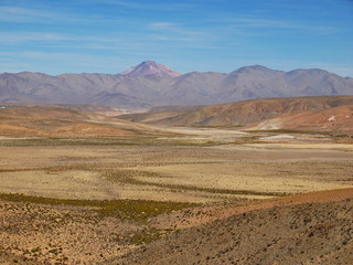 Altiplano andino, Argentina