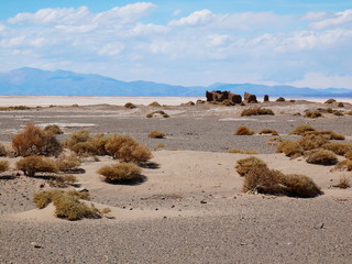 Altiplano andino, Argentina