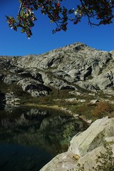 Corse 61