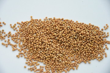 Mustard Seeds isolated(selective focus; close-up shot) mustard seeds in a porcelain plate