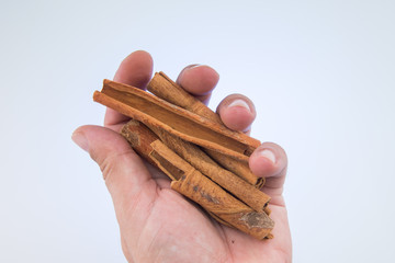 Dried cinnamon sticks in hand