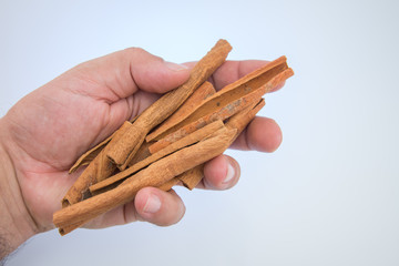Dried cinnamon sticks in hand