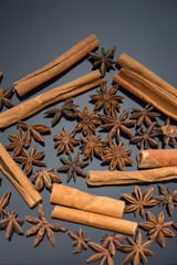 Dried anise and cinnamon 
