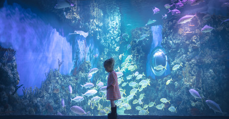 Curious child looking underwater reef landscape in marine aquarium in deep blue purple pink colors...