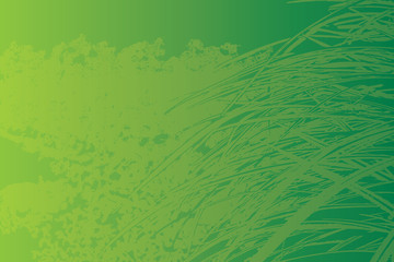 grass leaves as background vector