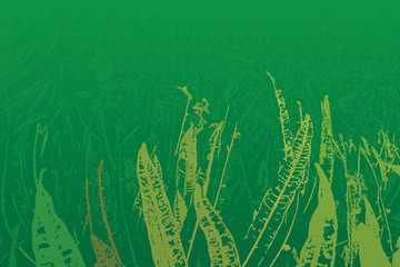 croton leaves as background vector © trichopcmu