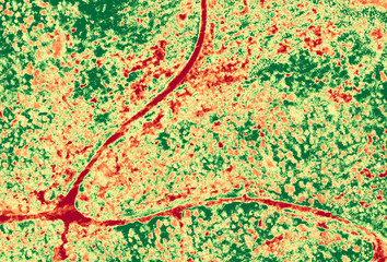 Aerial NDVI image of forest with small roads