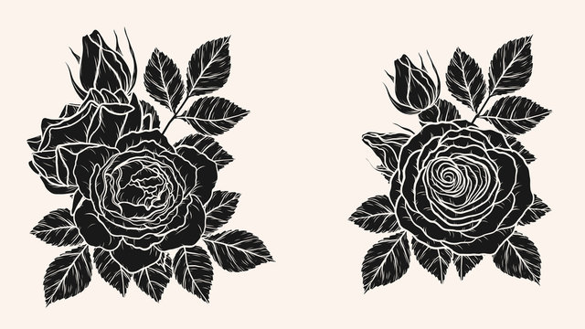 Rose silhouette ornament vector by hand drawing.Beautiful flower on brown background.Blaze rose vector art highly detailed in line art style.Flower tattoo for paint or pattern. 