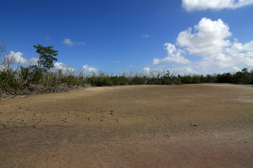Fototapeta na wymiar Extreme drought conditions at Eco Pond in Everglades National Park, Florida.