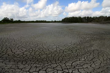 Keuken spatwand met foto Extreme drought conditions at Eco Pond in Everglades National Park, Florida. © Francisco