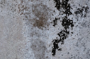 Background photo of black fungus on cement water tank that used to painted with white color.
