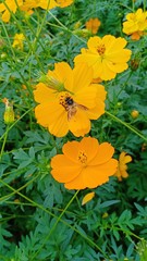 Star burst out laughing at me 