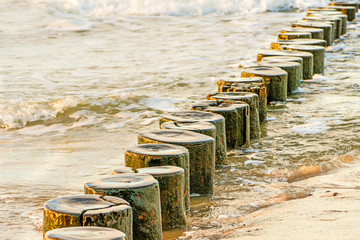 groins in the Baltic Sea