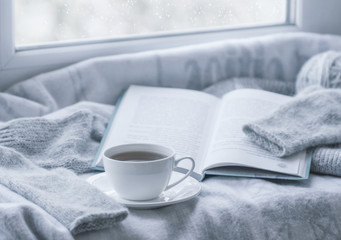 Fototapeta na wymiar Cozy winter still life: mug of hot tea and book with warm plaid on windowsill against snow landscape from outside.