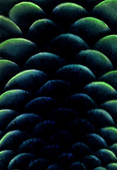 Beautiful mysterious magic green blue color texture background, scale fish pattern design, dark fancy lighting blue turquoise gradient color background, cracking detail circle stacking shape