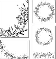 set of vector postcards with wild herbs