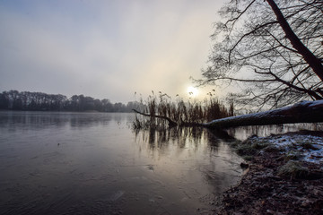 a winter scenery