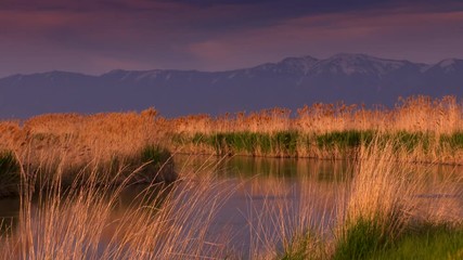 Beautiful wetlands grasses and water with mountains in background. Bear River National  Migratory Bird Refuge in Utah near the Great Salt Lake at sunset.