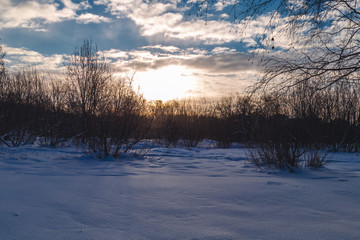 Park in the winter at sunrise
