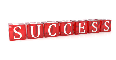 Success Cube text on white background