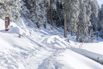 Trampelpfad im Schnee durch den Wald