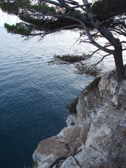 Fototapeta na wymiar Variety of textures: sharp gray rocks, soft surface of the blue sea and branched dark green pine branches