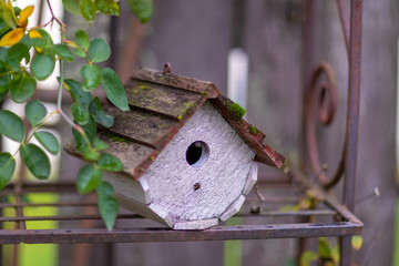 Wooden bird house standing on a metal rustic shelf in a backyard of a house