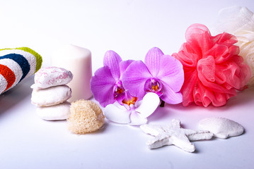 A set up of wellness items, a candle, stones, a beauty sponge, a sea star, towel and flower