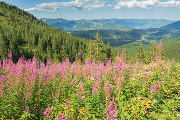 Summer landscapes of the Carpathian Mountains, with high mountain lakes and after thunderbolt rainbows.