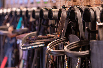 Row of bridles in a tack room on a horse riding farm - obrazy, fototapety, plakaty