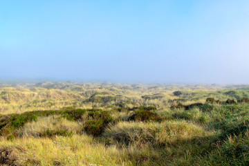 View at dunes of Byocean peninsula park. Sand dunes covered with tall grass and bushes under dense fog from the ocean