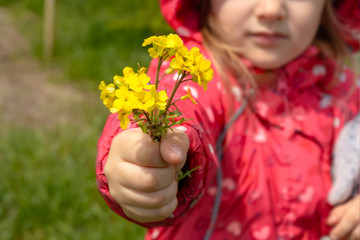 Little girl holding bouquet of spring yellow flowers