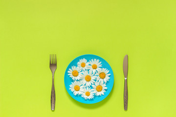Flower chamomile daisy on blue plate, cutlery fork knife on green paper background Concept vegetarianism, healthy eating or diet Creative top view Copy space template for lettering text or your design