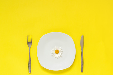One flower chamomile daisy on plate, cutlery fork knife on yellow paper background Concept...