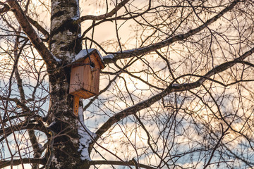 birdhouse on a tree in a winter park in the afternoon