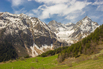 Fototapeta premium snow-capped mountain peaks against the background of a coniferous forest landscapes of Karachay-Cherkessia in Teberda